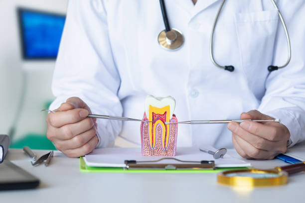 Trusted GA Emergency Dental Service Experts